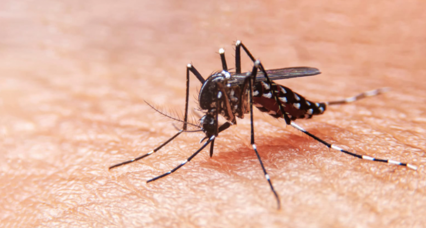 Cambio en el diagnóstico del dengue en Rosario tras registrar más de 4.000 casos