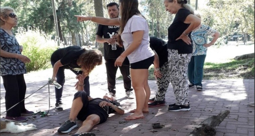 Una rama cayó encima de una mujer que hacía tai chi en la plaza López y le quebró la cadera