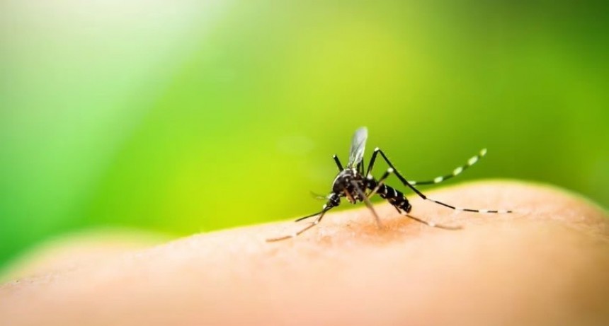 Estrategia de vacunación focalizada contra el dengue en Argentina
