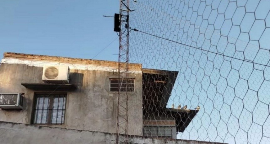 Club María Madre de la Lata sufre tercer robo en una semana y se queda sin reflectores