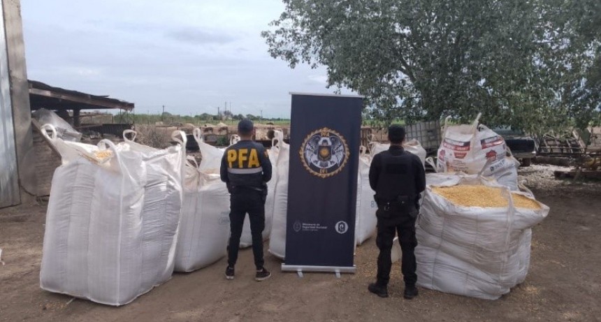 Allanamientos por robo de granos: incautan 60 toneladas de maíz y armas