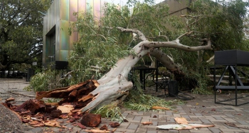 Destrozos causados por fuerte temporal en el bar del Lago en el Parque Independencia